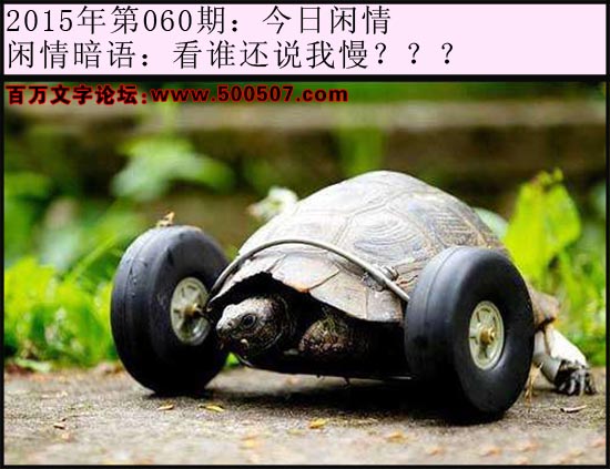 060期今日闲情：看谁还说我慢？？？